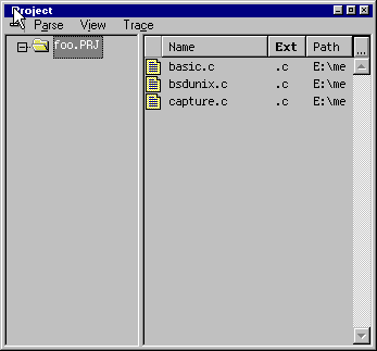 Figure 3-6 Project window